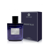 Парфюмированная вода для мужчин “MAGNIT BLUE” Mira Max, 100 мл